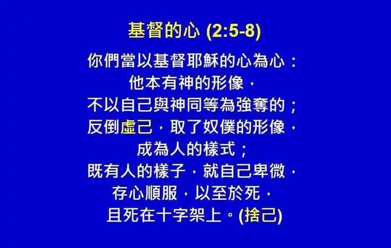 11月18日读经（腓3、4章，西1、2章）